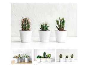 BILDE LERRET 60 X 40 X 2 CM