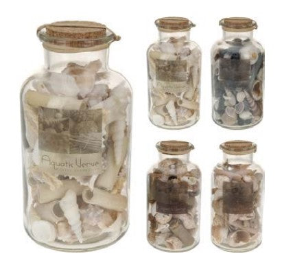 SKJELL DEKOR I GLASS