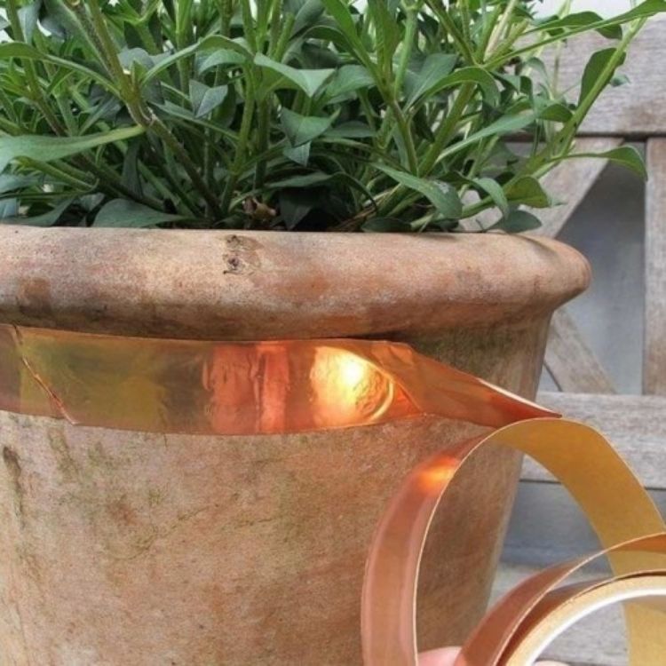 Sneglestopper 2,45cm x 4 Meter