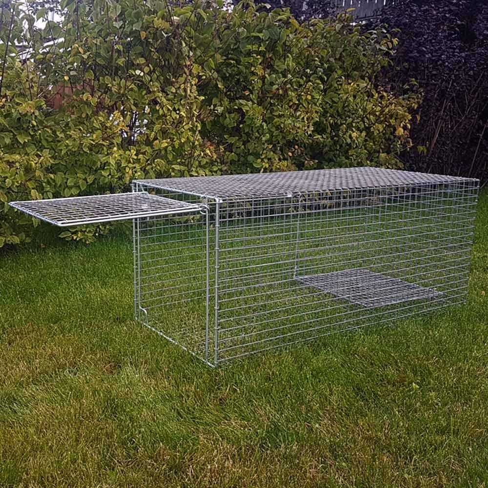 Syningfella Grevlingfelle Levende Fangstfelle