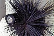 Musebørste Proff 4 Meter x 10cm