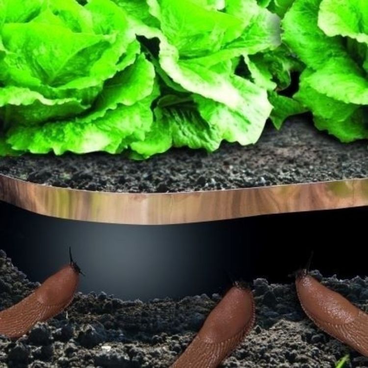 Sneglestopper 2,45cm x 4 Meter