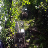 Syningfella Grevlingfelle Levende Fangstfelle