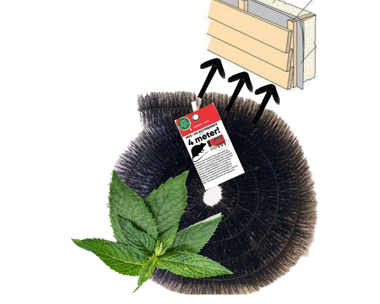 Musebørste Proff 4 Meter x 10cm Tilsatt mynte